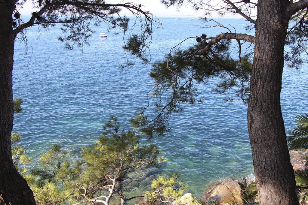 Blick durch Pinienbäume auf das blaue Meer, im Hintergrund fährt ein Boot